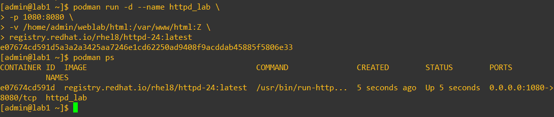 Run container placeholder