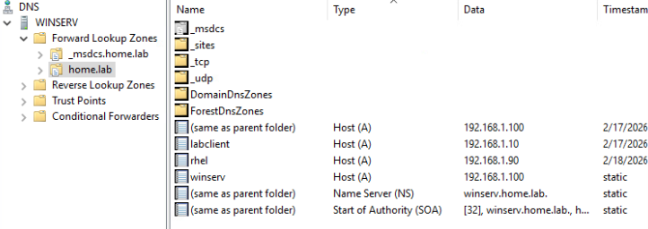 DNS verification placeholder