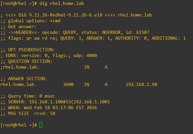 DNS verification placeholder